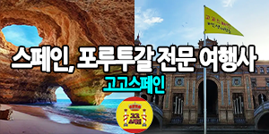 고고스페인-모바일