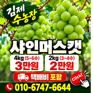 수농장 포도