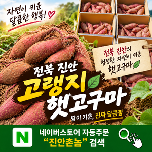 진안촌놈 고구마